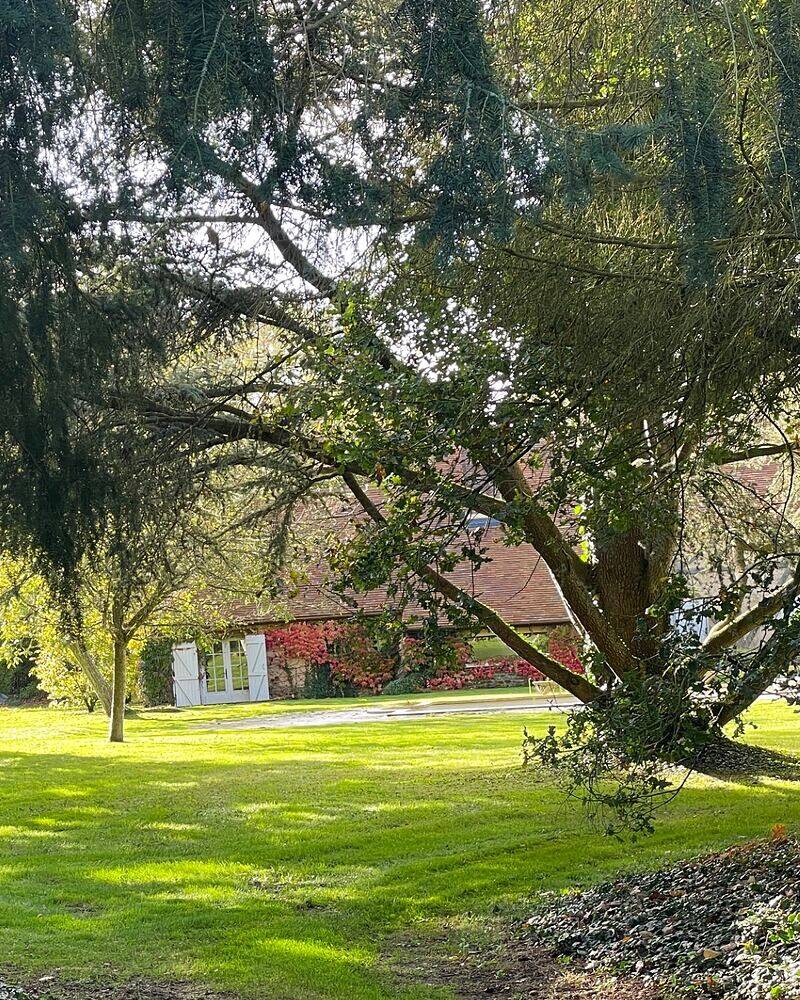 Parc de campagne sous un cèdre, pelouse ouverte devant une longère